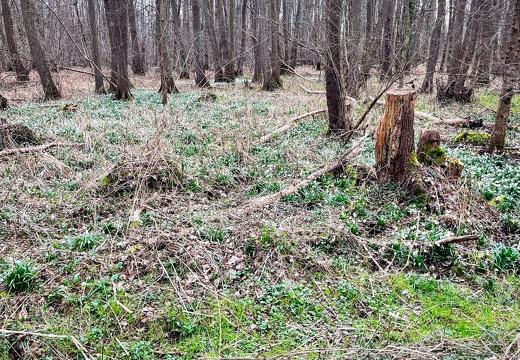 23-03-13 14-00-39 4863